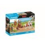 Asterix car roman